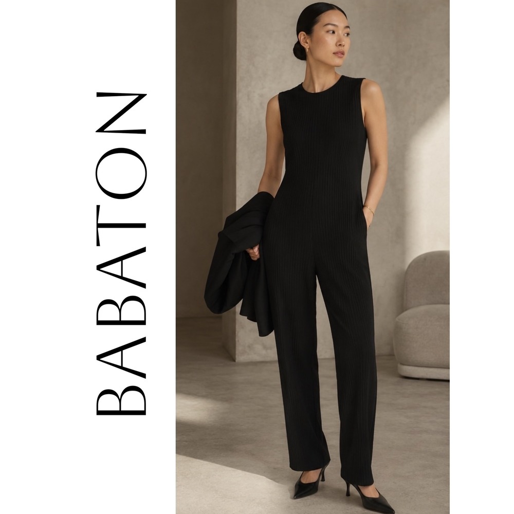Babaton Aritzia Conference Accordion Pleated‎ Jumpsuit Sleeveless Minimalist XL